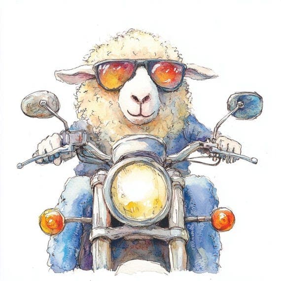 9 Motorbike Sheep Clipart – Funny Animal Illustration (Digital Downloa — view 2 — watercolor clipart transparent PNG instant download