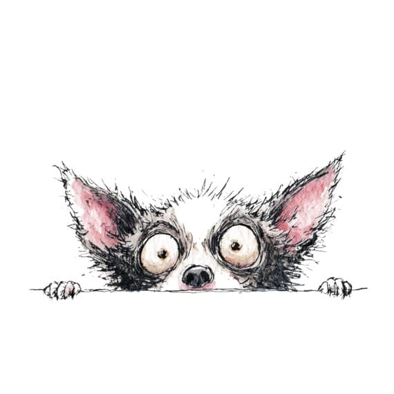 40 Watercolor Peeking Funny Dogs Clipart — view 8 — watercolor clipart transparent PNG instant download