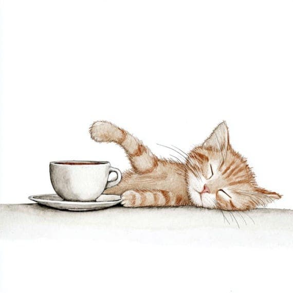 20 Coffee Cat Clipart (JPG) — watercolor clipart transparent PNG instant download