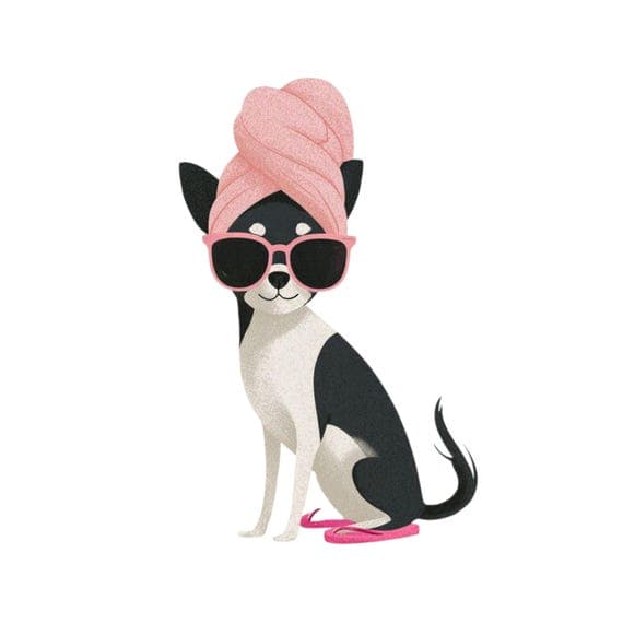 15 Quirky Spa Dogs Clipart (JPG PNG) – Fashion Chihuahua & Funny Pet I — view 4 — watercolor clipart transparent PNG instant download