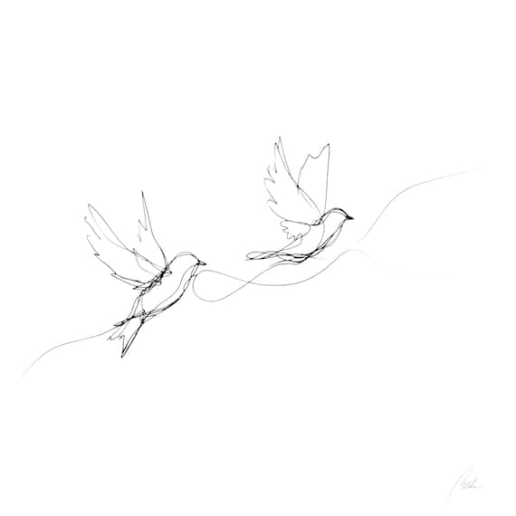 12 Minimalist Bird Line Art β view 4 β watercolor clipart transparent PNG instant download