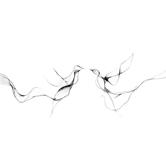 12 Minimalist Bird Line Art β view 5 β watercolor clipart transparent PNG instant download