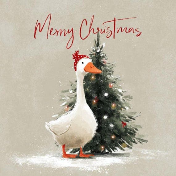 17 Quirky Christmas Goose Clipart β watercolor clipart transparent PNG instant download