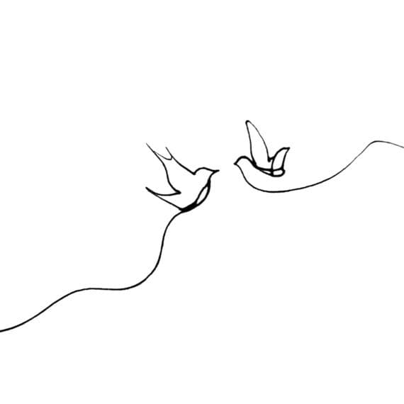 12 Minimalist Bird Line Art โ watercolor clipart transparent PNG instant download