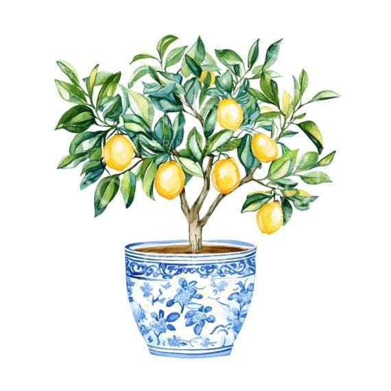 Lemon Tree Pot Clipart, Amalfi Coast, Mediterranean Tile Art (Digital β view 8 β watercolor clipart transparent PNG instant download