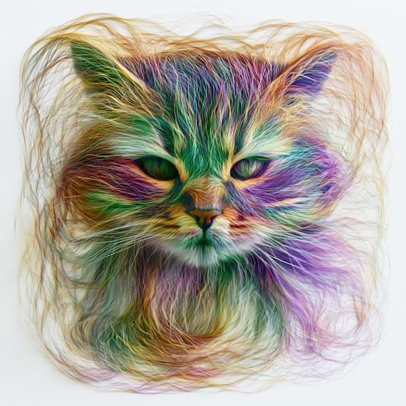 20 Magical Cat Clipart JPG β view 5 β watercolor clipart transparent PNG instant download