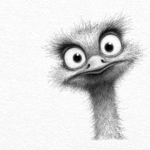 25 Peeking Ostrich PNG Clipart Funny Animal Graphics Sublimation Pocke — view 7 — watercolor clipart transparent PNG instant download