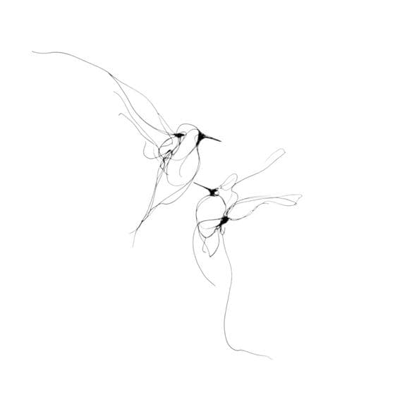 12 Minimalist Bird Line Art β view 3 β watercolor clipart transparent PNG instant download