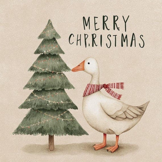 15 Funny Christmas Duck Clipart β view 5 β watercolor clipart transparent PNG instant download