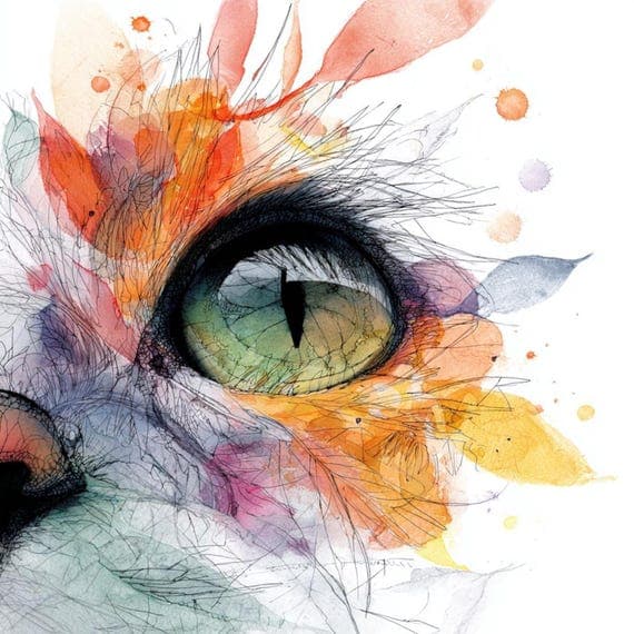 40 Abstract Cat Face Clipart β view 6 β watercolor clipart transparent PNG instant download