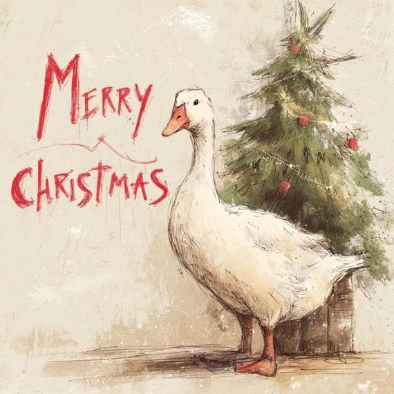15 Funny Christmas Duck Clipart β view 3 β watercolor clipart transparent PNG instant download