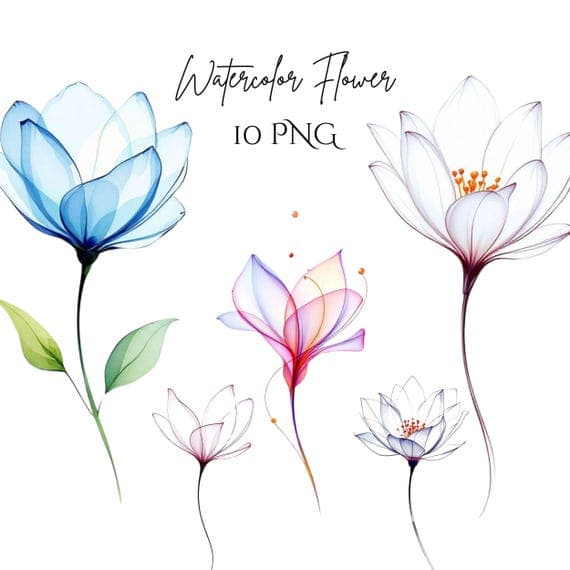 Hand β watercolor clipart transparent PNG instant download