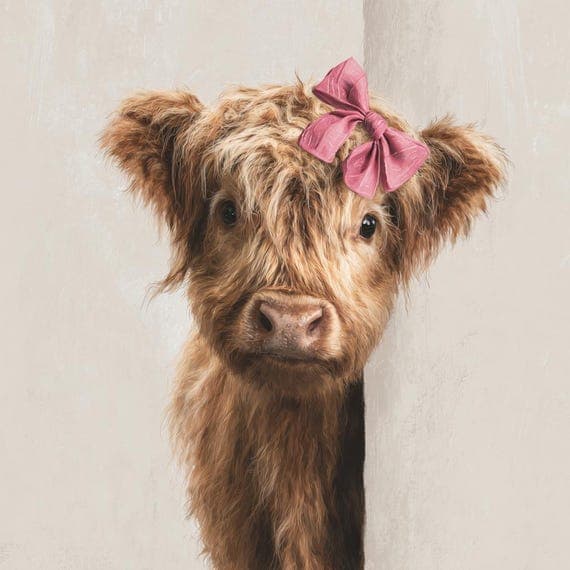 12 Peeking Highland Cow Wall Art – Rustic Farmhouse Animal Prints for — view 3 — watercolor clipart transparent PNG instant download
