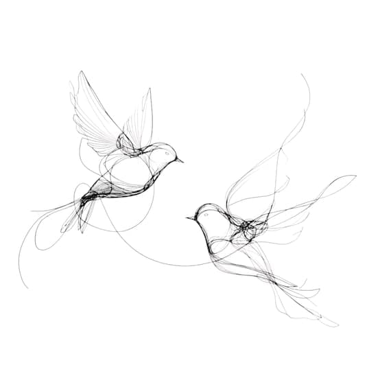 12 Minimalist Bird Line Art β view 2 β watercolor clipart transparent PNG instant download