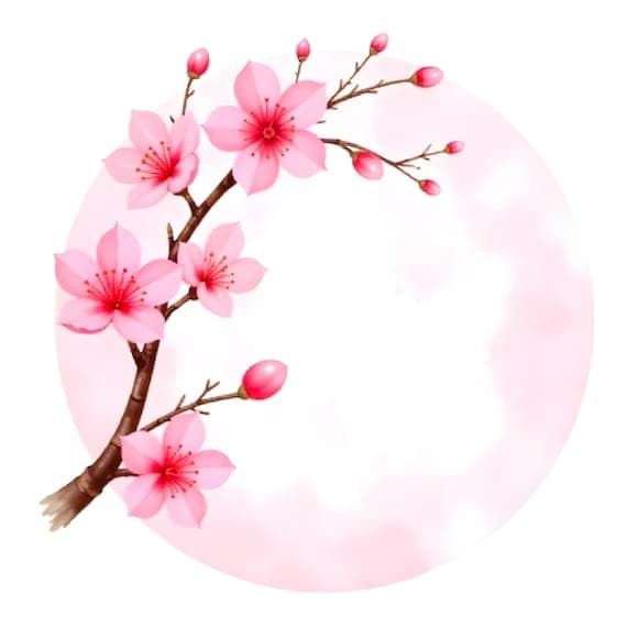 Watercolor Cherry Blossom Clipart β view 6 β watercolor clipart transparent PNG instant download