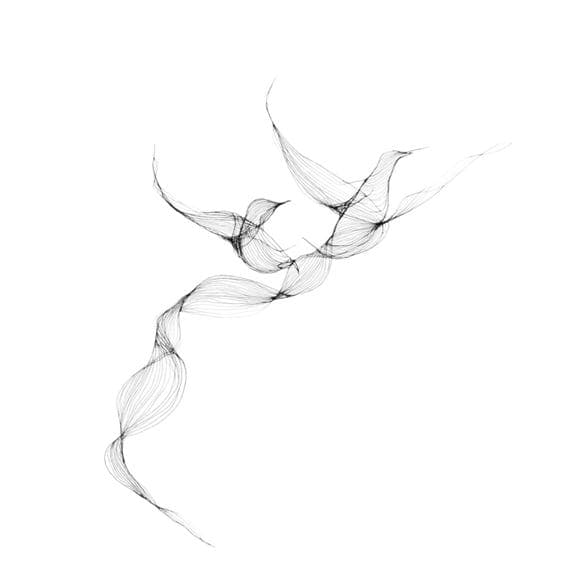 12 Minimalist Bird Line Art β view 8 β watercolor clipart transparent PNG instant download