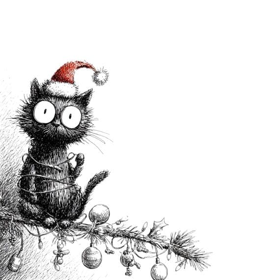 20 Quirky Christmas Cat Clipart (PNG JPG) β view 6 β watercolor clipart transparent PNG instant download