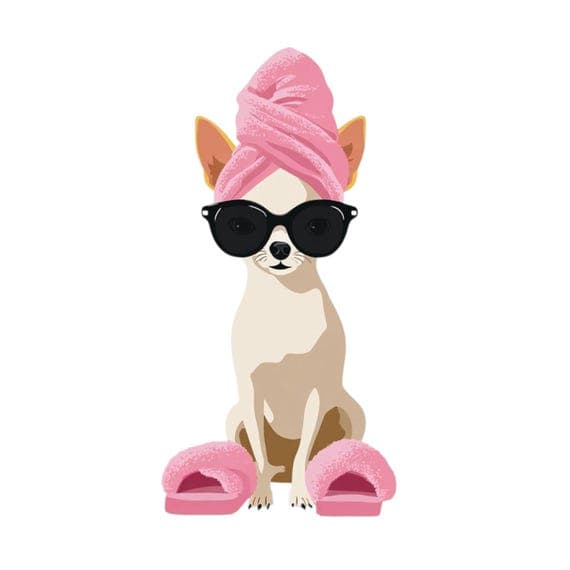 15 Quirky Spa Dogs Clipart (JPG PNG) – Fashion Chihuahua & Funny Pet I — watercolor clipart transparent PNG instant download